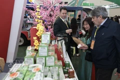 Visitors at a stall during the Spring Fair 2026 in Hanoi (Photo: VNA)