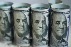 Illustrative photo (Photo: Xinhua/VNA)