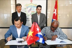 The Hoang Gia Viet Food JSC of Vietnam signs an economic cooperation contract with Alquizar, an agricultural company of the Artemisa Agroforestry Business Group, to cultivate cashew and short-cycle crops in Cuba. (Photo: VNA)
