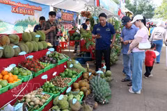 A fruit festival in the Mekong Delta city of Can Tho. (Photo: VNA)