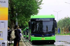 Electric buses in Hanoi (Photo: VNA)