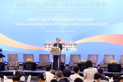 Politburo member and Minister of Foreign Affairs Le Hoai Trung speaks at the networking session with business community on August 6. (Photo: VNA)