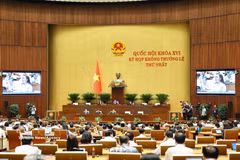 A plenary discussion of the first extraordinary session of the 16th National Assembly (Photo: VNA)