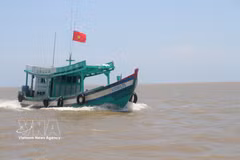 Since the beginning of the year, Ca Mau provinces have inspected 100% of fishing vessels arriving at and departing from designated fishing ports in accordance with regulations. (Photo: VNA) 