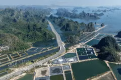Quang Ninh, Bac Ninh set to become centrally governed cities, creating new growth poles