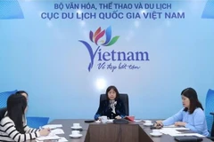 Deputy Director General of Vietnam National Authority of Tourism Nguyen Thi Hoa Mai (centre) chairs an online meeting on the organisation of ITE HCMC 2026. (Photo: TITC)