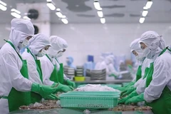 Processing shrimp for export (Photo: qdnd.vn)