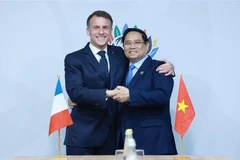 Vietnamese Prime Minister Pham Minh Chinh (R) meets with French President Emmanuel Macron in Johannesburg on November 23. (Photo: VNA)