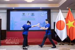 A Japanese Vovinam student demonstrates how to defend against various attacks. (Photo: VNA)