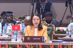Deputy Minister of Foreign Affairs Nguyen Minh Hang speaks at a discussion session on reforming multilateral systems and global governance, held on May 15, 2026, as part of the expanded BRICS Foreign Ministers’ Meeting in India. (Photo: VNA)