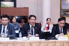 Atsaphangthong Siphandone (centre), Secretary of the Vientiane Party Committee and Chairman of the municipal People’s Council, speaks at the working session. (Photo: VNA)