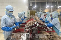 Workers produce canned tuna at the Seaspimex factory in Ho Chi Minh City. (Photo: VNA)