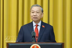 Vietnamese State President To Lam (Photo: VNA)