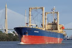 Cargo vessel Dolphin 18 (Photo: qdnd.vn)