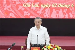 Party General Secretary To Lam speaks at the meeting (Photo: VNA)
