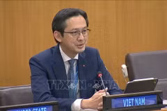 Ambassador Do Hung Viet, Permanent Representative of Vietnam to the UN (Photo: VNA)