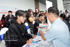Students talk with business representatives to learn about job opportunities at the 2026 Job Fair jointly organised by the Ho Chi Minh City Youth Employment Service Centre and Van Lang Saigon College. (Photo: VNA)