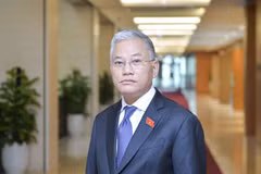 Vice Chairman of the Government Office Don Tuan Phong (Photo: chinhphu.vn)