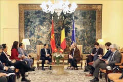 Deputy Prime Minister Bui Thanh Son (fifth, left) meets with President of the Belgian House of Representatives Peter De Roover (fourth, right) on October 10. (Photo: VNA)
