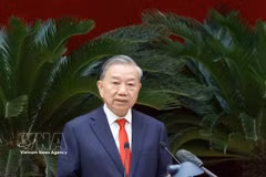 Party General Secretary and State President To Lam speaks at the conference (Photo; VNA)