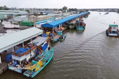 Bustling activity as fishing vessels enter and leave Tac Cau fishing port in An Giang province. (Photo: VNA)