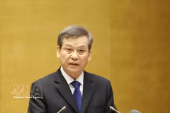 Politburo member, Secretary of the Party Central Committee and Chairman of its Commission for Internal Affairs Le Minh Tri speaks at the conference. (Photo: VNA)