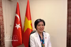Vietnamese Ambassador to Türkiye Dang Thi Thu Ha (Photo: VNA)