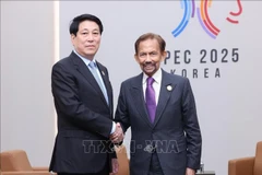 Vietnamese State President Luong Cuong (left) and Sultan of Brunei Hassanal Bolkiah. (Photo: VNA)