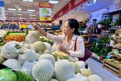 A consumer chooses fruits at a GO! supermarket in Ho Chi Minh City (Photo: VNA)