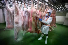 Slaughtered pigs are transported to pork supplier OJJ Foods, where they will be left in this chiller room before being butchered. (Photo: www.straitstimes.com)