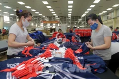 Labourers are working at Thai Nguyen Garment Company. (Photo: VNA)