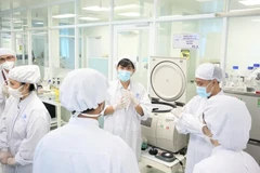 Experts working at the stem cell laboratory of the University of Science under the Vietnam National University, Ho Chi Minh City. (Photo: sggp.org.vn)