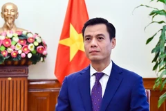 Deputy Minister of Foreign Affairs and head of Vietnam’s SOM ASEAN Dang Hoang Giang (Photo: Ministry of Foreign Affairs)