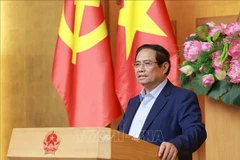 Prime Minister Pham Minh Chinh addresses the working session (Photo: VNA)