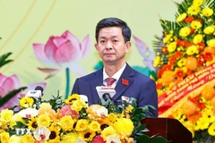 Le Quang Tung, Secretary of the Party Committee of Can Tho city. (Photo: VNA)
