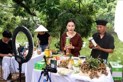 Content creators help farmers in Hung Yen province promote and sell longan and OCOP agricultural products on TikTok. (Photo: VNA)