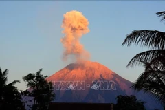 Ash erupts from Mount Semeru, seen from Lumajang, East Java, Indonesia. (File Photo: Xinhua/VNA)
