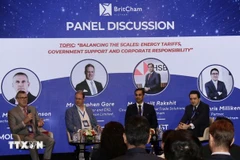 Speakers participate in a panel discussion on the future of renewable energy in Vietnam. (Photo: VNA)