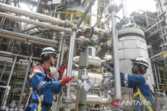 Illustrative image (Photo: Antara)