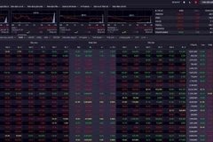 Trading volume on the Ho Chi Minh Stock Exchange (HoSE) reaches more than 480.5 million shares on December 31, equivalent to over 11.5 trillion VND (451.1 million USD). (Screenshot photo)