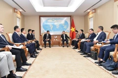 Deputy Prime Minister Ho Duc Phoc receives Charmvit Group Chairman Lee Ho Woong in Hanoi on January 10. (Photo: VNA)