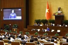 Minister of Home Affairs Pham Thi Thanh Tra clarifies a number of contents of the draft revised Law on Organisation of Local Government. (Photo: VNA)
