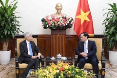 Deputy Prime Minister and Minister of Foreign Affairs Bui Thanh Son (R) receives Permanent Secretary of the Ministry of Foreign Affairs of Singapore Albert Chua on August 26 in Hanoi. (Photo: VNA)