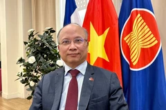 Vietnamese Ambassador to France Dinh Toan Thang (Photo: VNA)