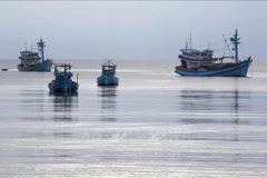Fishing boats anchored in the waters off Phu Quoc Island. (Photo: VNA)