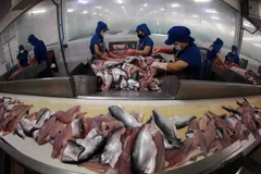 Workers process tra fish for export at a factory of Sao Mai Group. (Photo: VNA)