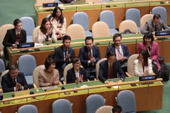 Vietnam is re-elected to UN Human RIghts Council for 2026-2028 (Photo: VNA)
