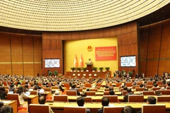 An overview of the conference (Photo: VNA)