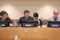 Permanent Deputy Minister of Foreign Affairs Nguyen Minh Vu (middle) chairs the meeting as SPLOS 35 Chair (Photo: VNA)