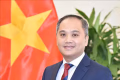 Vietnamese Ambassador to New Zealand Phan Minh Giang. (Photo: VNA)